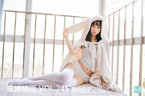 VOL.245 浴巾兔子 - 封面图