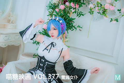 VOL.377 雷姆女仆 - 封面图