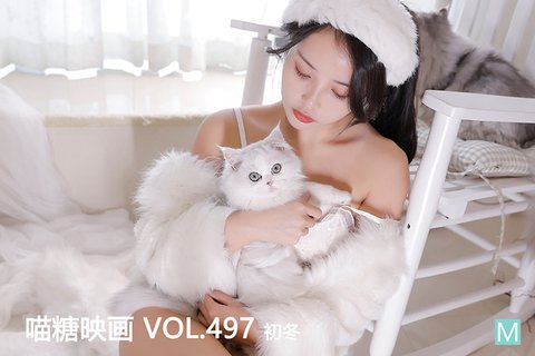 VOL.497 - 封面图
