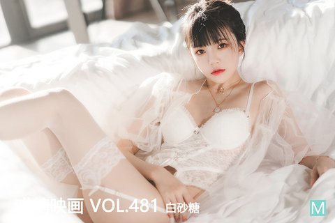 VOL.481 - 封面图