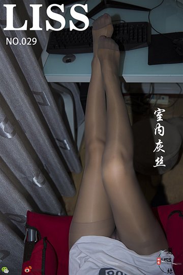 NO.029 《室内灰丝》 - 封面图