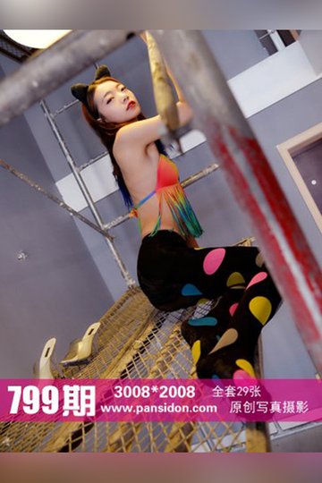 No.799 叮铛 - 封面图