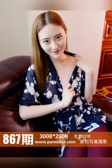 No.867 狐狸 - 封面图