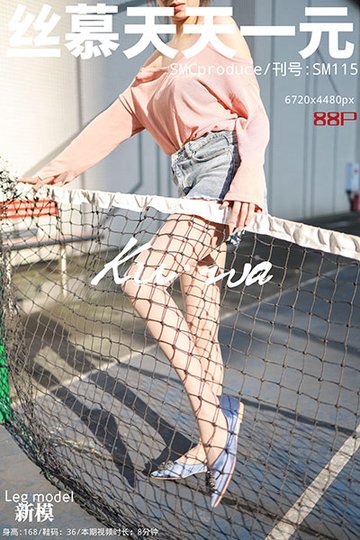 SM115 《阳光下的影子》 新模 - 封面图