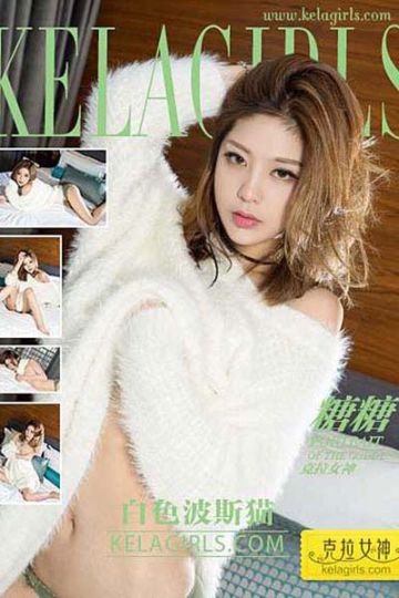 N033 《白色波斯猫》糖糖 - 封面图