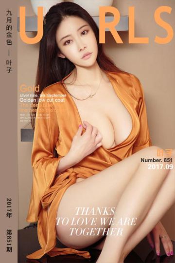 No.851 九月的金色 叶子 - 封面图