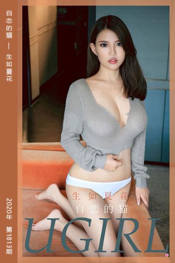 No.1813 自恋的猫 生如夏花 - 封面图