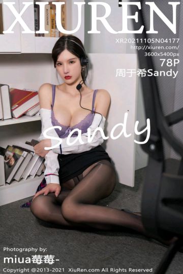 No.4177 周于希Sandy 客服经理主题 - 封面图