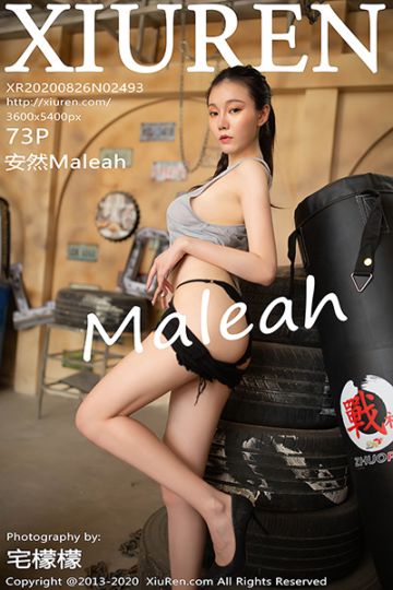No.2493 安然Maleah 修理工主题写真 - 封面图