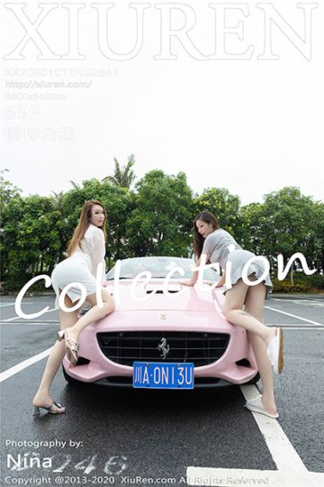 No.2641 模特合集 - 封面图