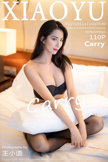 Vol.190 Carry丝袜美腿写真 - 封面图