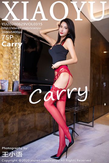 Vol.315 Carry丝袜美腿写真 - 封面图