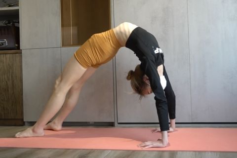 第250课 柔术 一字马 - 封面图