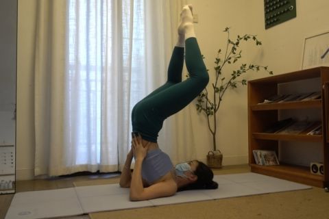 第288课 柔术 倒立 - 封面图