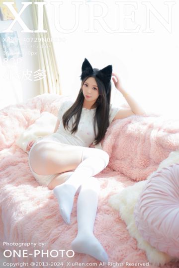 No.8930 小波多 灰色丝袜 - 封面图