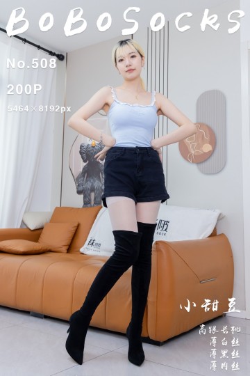 NO.528 小甜豆 - 封面图