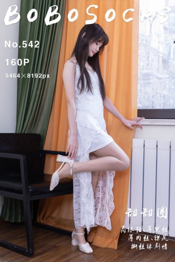 NO.542 甜甜圈 - 封面图