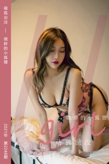 No.2248 萌狐出没 微胖的小狐狸 - 封面图