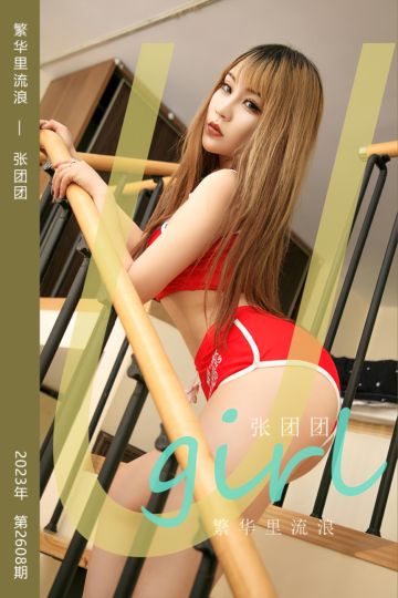 No.2608 繁华里流浪 张团团 - 封面图